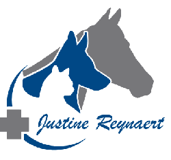 Afbeelding › Dierenarts Justine Reynaert