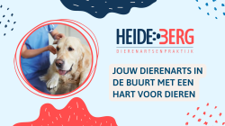 Afbeelding › Dierenartsenpraktijk Heideberg