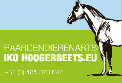 Afbeelding › Paardendierenarts Iko Hoogerbeets