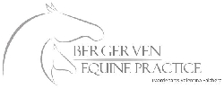 Afbeelding › Paardendierenarts Valentina Falchero (Bergerven Equine Practice)